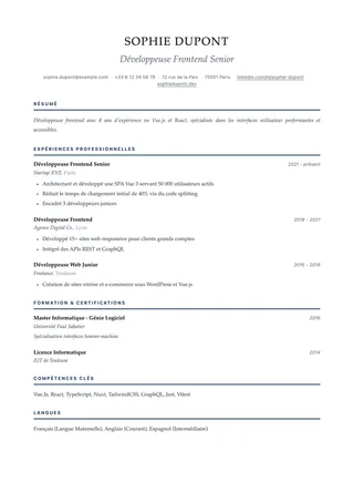 Preview of the Academic resume template